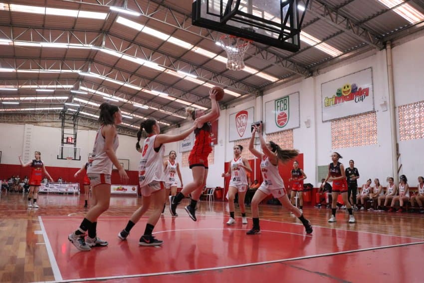 Giro das Federações: Federação Catarinense fomenta educação esportiva e movimenta basquete no estado