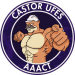 Castor