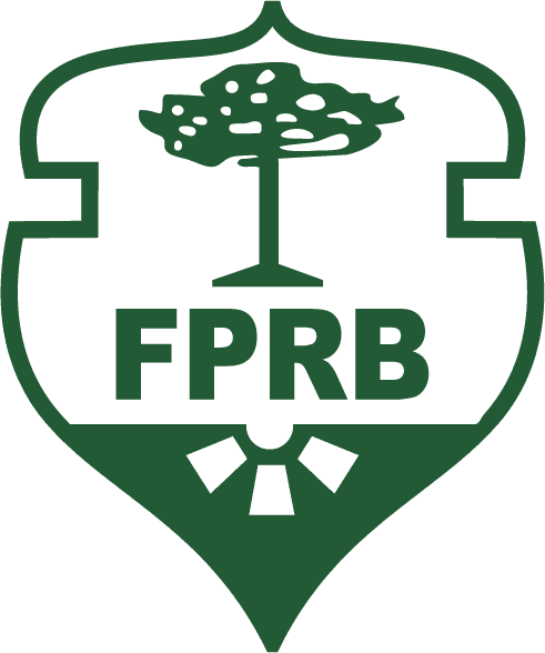 FEDERAÇÃO PARANAENSE DE BASKETBALL FEDERAÇÃO PARANAENSE DE BASKETBALL