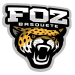 Foz Basquete