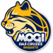 Mogi